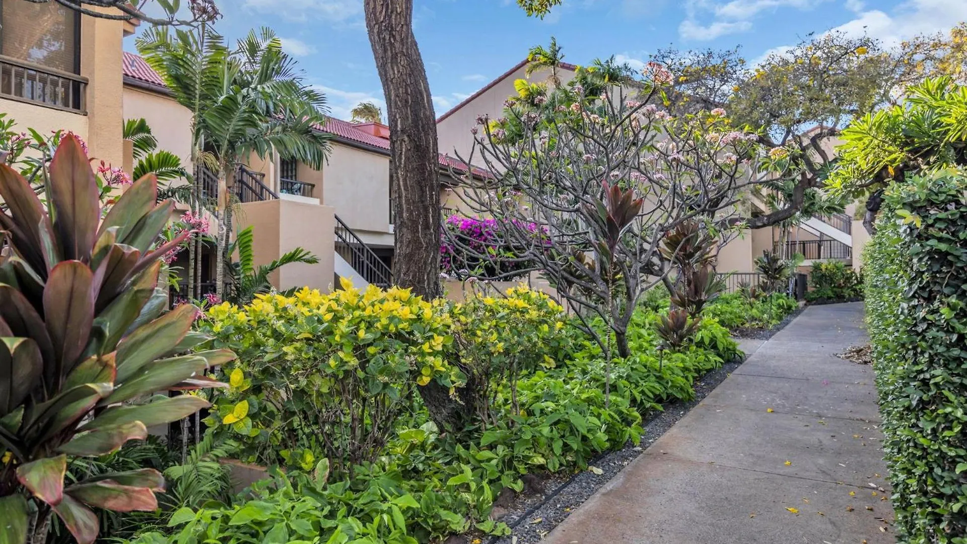 فيلا Kaanapali Royal C202 لاهينا